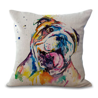 English Bulldog