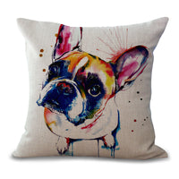 Fawn Frenchie