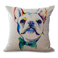 White Frenchie